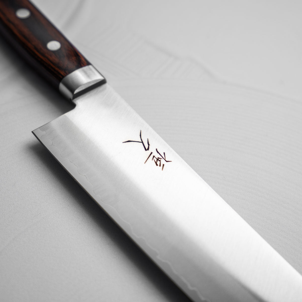 Tsunehisa VG1 Gyuto 210mm
