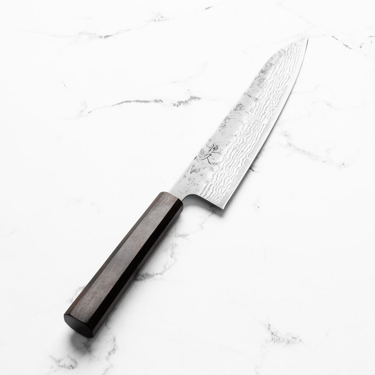 Tsunehisa Swedish Stainless Washiji Gyuto 210mm - Ebony