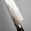Takeshi Saji Blue 2 Rainbow Damascus Sujihiki 270mm