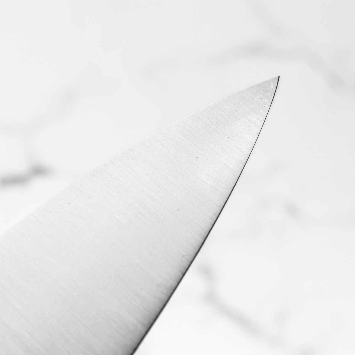 Sakai Kikumori Swedish Stainless Gyuto 240mm - Sandalwood